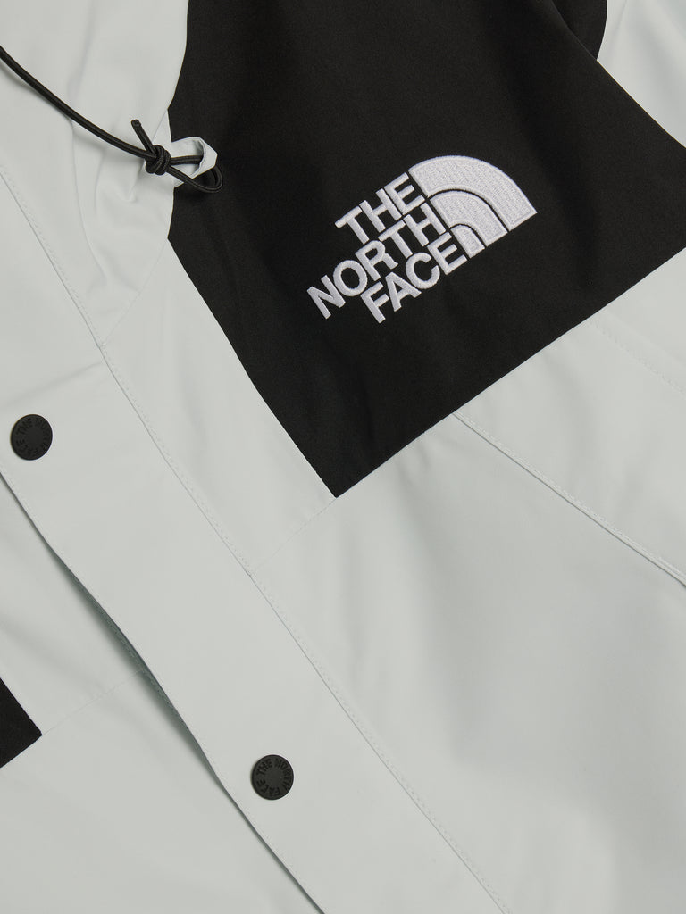 M GTX Mountain Jacket | The North Face | 7017 REIGN