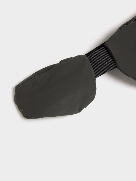 On x PAF Run Belt, Molasses