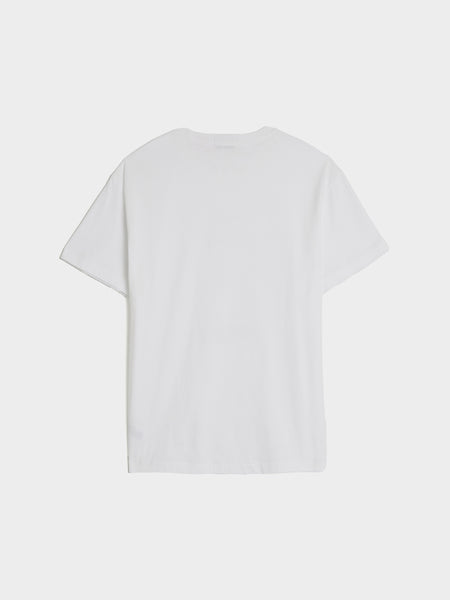 Cotton Mesh Novetly Polo T-Shirt, White HRTG Bear