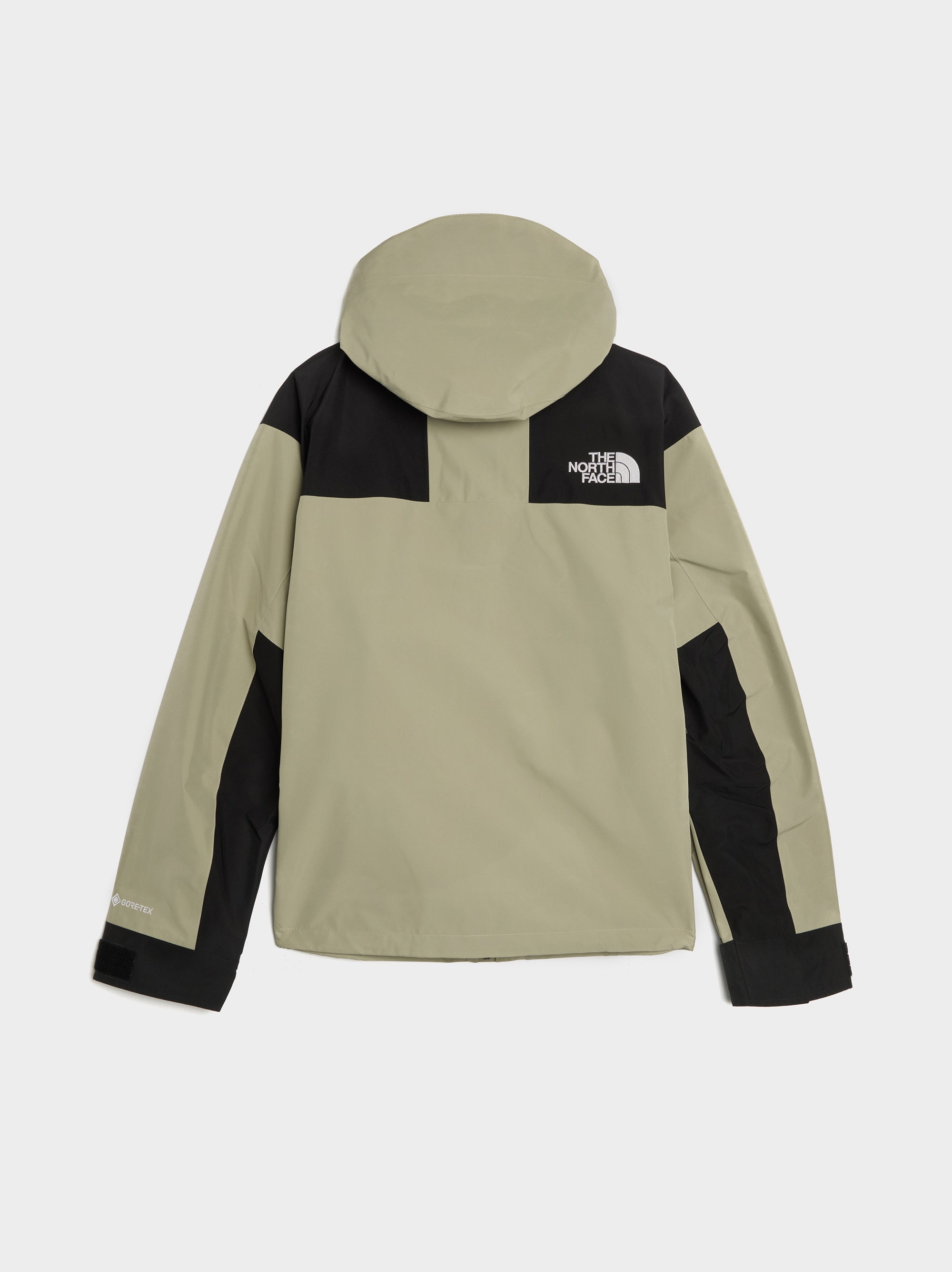 M GTX Mountain Jacket | The North Face | 7017 REIGN