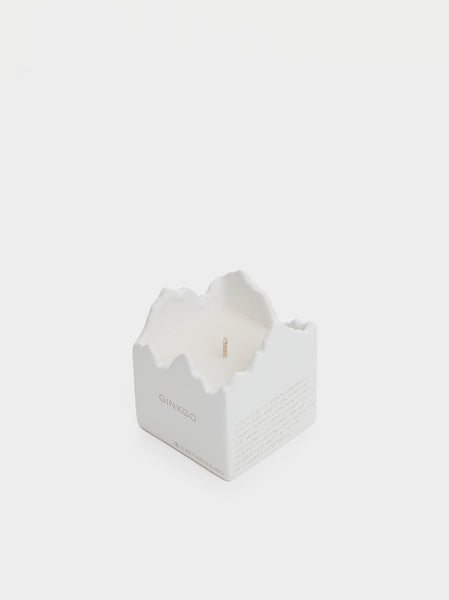 Ceramic Candle, Ginko
