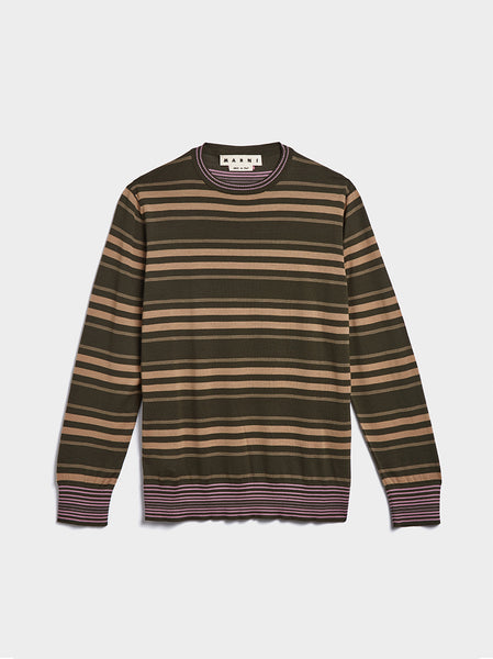 Stripe Roundneck Sweater, Green